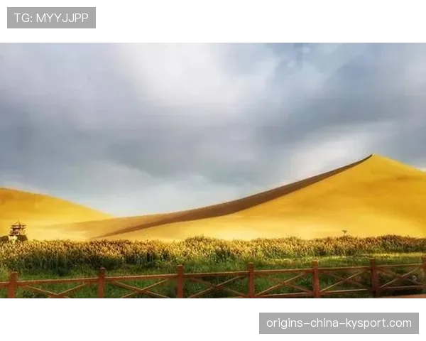 ⏰远隔万里的灵魂共鸣: 虽然隔着数个时区、相差着万里的地理距离,但今夜在全世界无数个点亮灯火的深夜角落里,各色皮肤的球迷都在为了同一个皮球的入网而歇斯底里地疯狂呐喊。